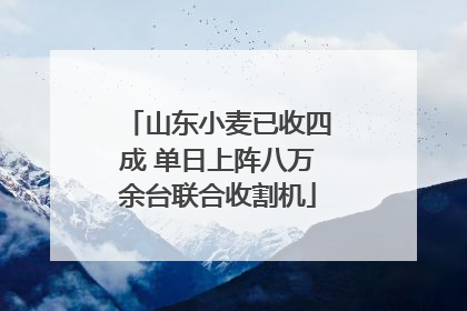 山东小麦已收四成 单日上阵八万余台联合收割机