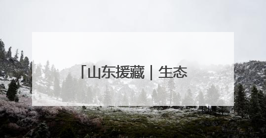 山东援藏｜生态援藏，戈壁滩上的“潍坊魔法”