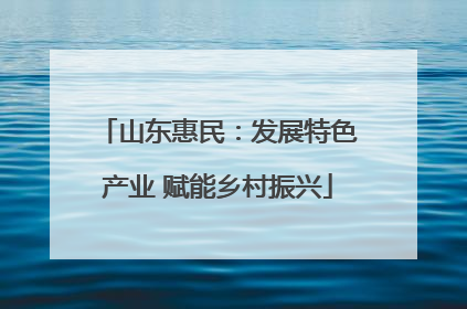 山东惠民：发展特色产业 赋能乡村振兴