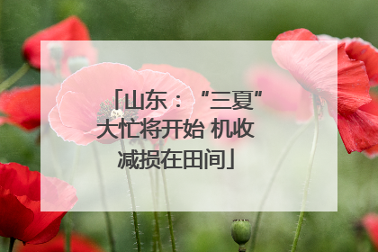 山东：“三夏”大忙将开始 机收减损在田间