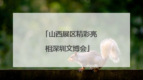 山西展区精彩亮相深圳文博会