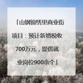 山钢锦绣里商业街项目：预计新增税收700万元，提供就业岗位900余个