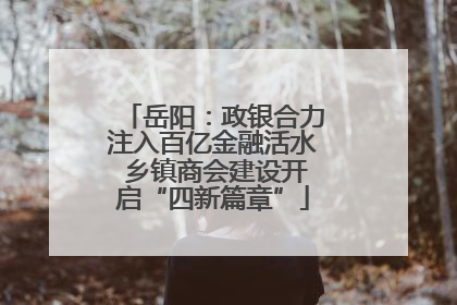 岳阳：政银合力注入百亿金融活水 乡镇商会建设开启“四新篇章”