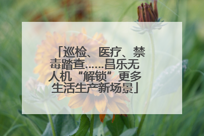 巡检、医疗、禁毒踏查……昌乐无人机“解锁”更多生活生产新场景