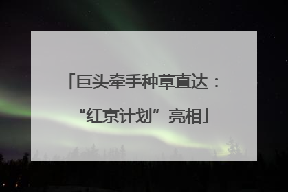 巨头牵手种草直达：“红京计划”亮相