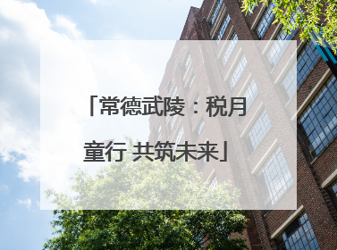常德武陵：税月童行 共筑未来