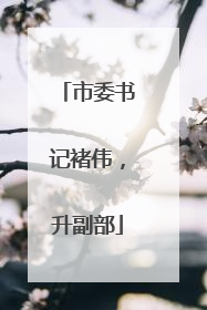 市委书记褚伟，升副部
