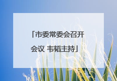 市委常委会召开会议 韦韬主持