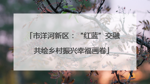 市洋河新区：“红蓝”交融 共绘乡村振兴幸福画卷