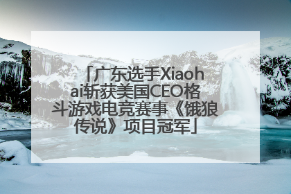 广东选手Xiaohai斩获美国CEO格斗游戏电竞赛事《饿狼传说》项目冠军