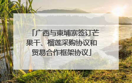 广西与柬埔寨签订芒果干、榴莲采购协议和贸易合作框架协议