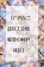 广西东兰县总工会情暖童心呵护成长