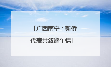 广西南宁：新侨代表共叙端午情