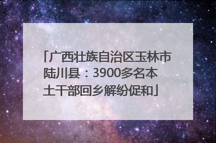 广西壮族自治区玉林市陆川县：3900多名本土干部回乡解纷促和