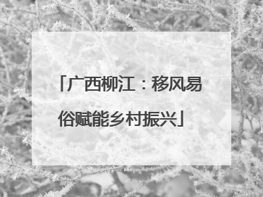 广西柳江：移风易俗赋能乡村振兴