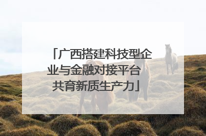 广西搭建科技型企业与金融对接平台 共育新质生产力