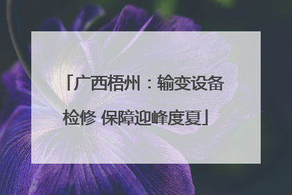广西梧州：输变设备检修 保障迎峰度夏