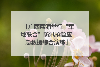 广西荔浦举行“军地联合”防汛抢险应急救援综合演练