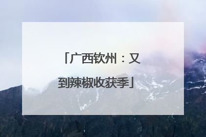 广西钦州：又到辣椒收获季