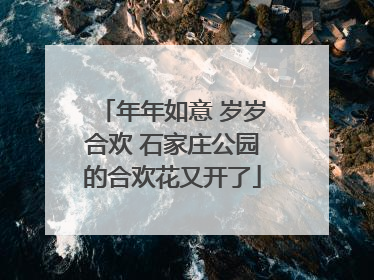 年年如意 岁岁合欢 石家庄公园的合欢花又开了