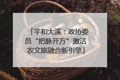 平和大溪：政协委员“把脉开方”激活农文旅融合新引擎