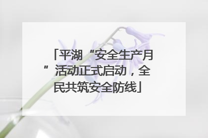 平湖“安全生产月”活动正式启动，全民共筑安全防线
