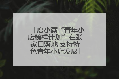 度小满“青年小店榜样计划”在张家口落地 支持特色青年小店发展