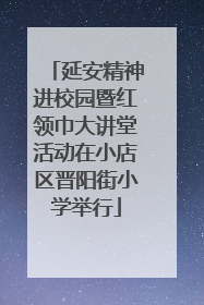 延安精神进校园暨红领巾大讲堂活动在小店区晋阳街小学举行