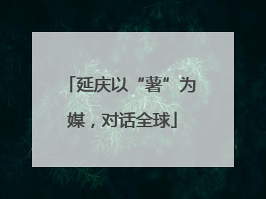 延庆以“薯”为媒，对话全球