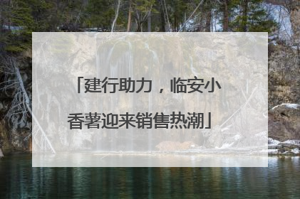 建行助力，临安小香薯迎来销售热潮