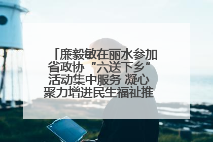 廉毅敏在丽水参加省政协“六送下乡”活动集中服务 凝心聚力增进民生福祉推进共同富裕