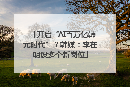 开启“AI百万亿韩元时代”？韩媒：李在明设多个新岗位