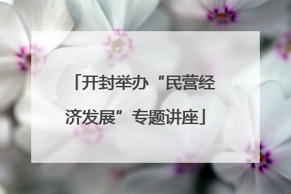 开封举办“民营经济发展”专题讲座
