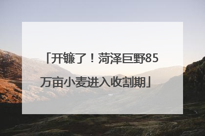 开镰了！菏泽巨野85万亩小麦进入收割期
