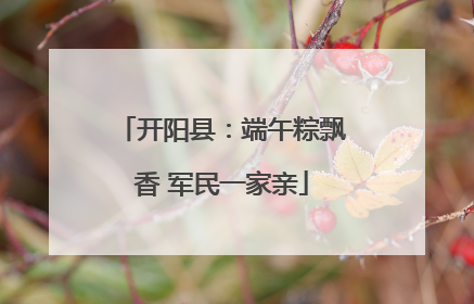 开阳县：端午粽飘香 军民一家亲