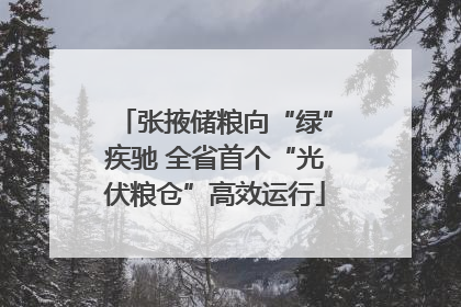张掖储粮向“绿”疾驰 全省首个“光伏粮仓”高效运行
