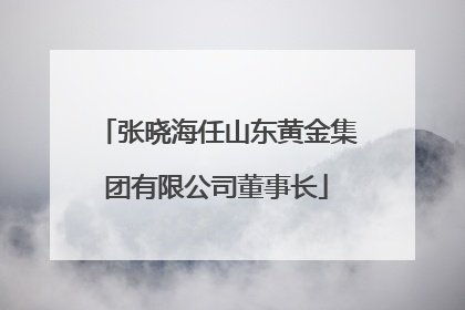张晓海任山东黄金集团有限公司董事长