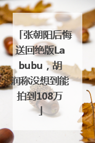 张朝阳后悔送回绝版Labubu，胡润称没想到能拍到108万