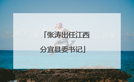 张涛出任江西分宜县委书记
