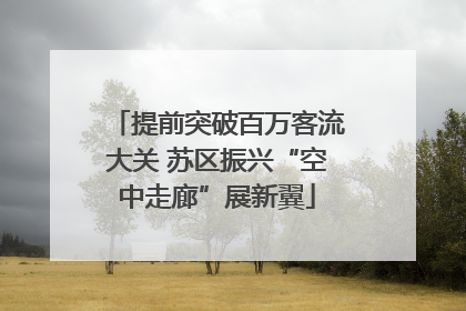 提前突破百万客流大关 苏区振兴“空中走廊”展新翼