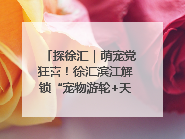 探徐汇｜萌宠党狂喜！徐汇滨江解锁“宠物游轮+天台乐园”双玩法