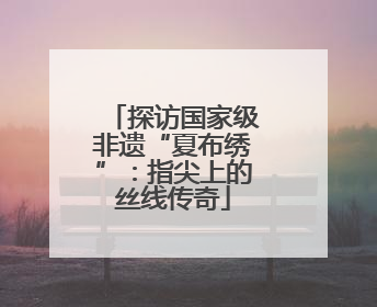 探访国家级非遗“夏布绣”：指尖上的丝线传奇