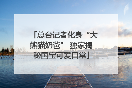 总台记者化身“大熊猫奶爸” 独家揭秘国宝可爱日常
