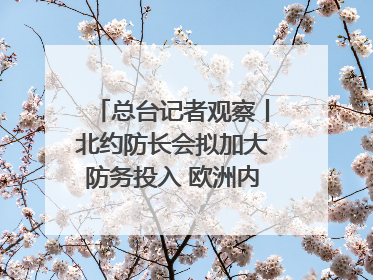 总台记者观察丨北约防长会拟加大防务投入 欧洲内部分歧难掩