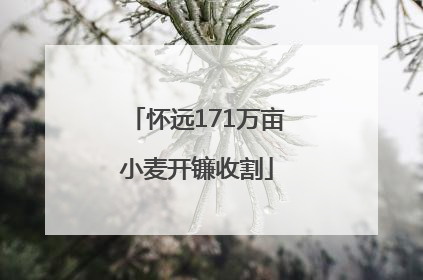 怀远171万亩小麦开镰收割