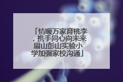 情暖万家育桃李，携手同心向未来 眉山彭山实验小学加强家校沟通