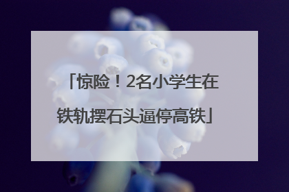 惊险！2名小学生在铁轨摆石头逼停高铁