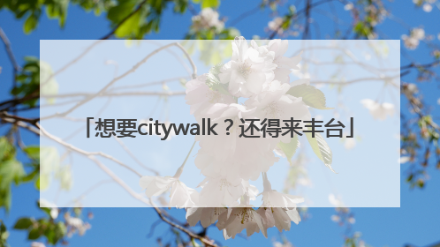 想要citywalk？还得来丰台