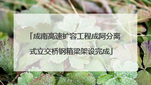 成南高速扩容工程成阿分离式立交桥钢箱梁架设完成