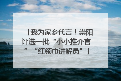 我为家乡代言！崇阳评选一批“小小推介官”“红领巾讲解员”